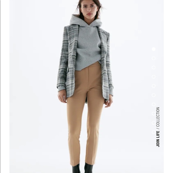 Zara Taupe Brown Pants - Picture 1 of 10